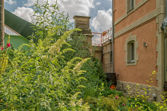 Garten des Naumburger Ferienhauses Brückenhaus Naumburg