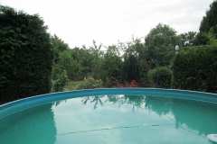 Pool-mit-Blick-in-den-Garten, Ferienhaus mit Ferienwohnungen in Naumburg