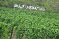 Saale-Unstrut-Wein
